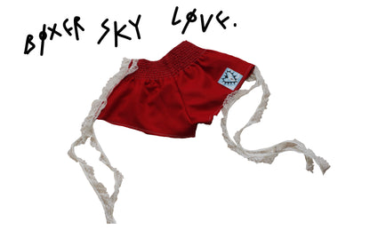 Boxer sky heart love